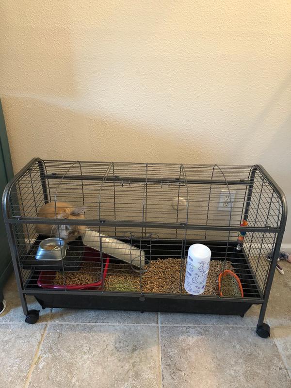luxury indoor rabbit cage