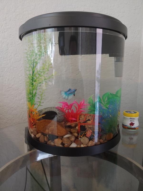 3.5 gallon fish tank hotsell