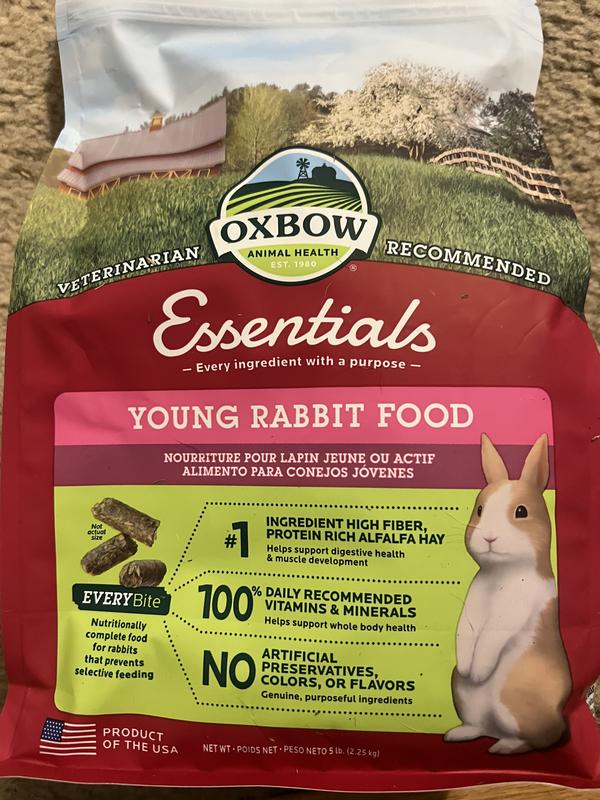 Is cat food bad for rabbits best sale