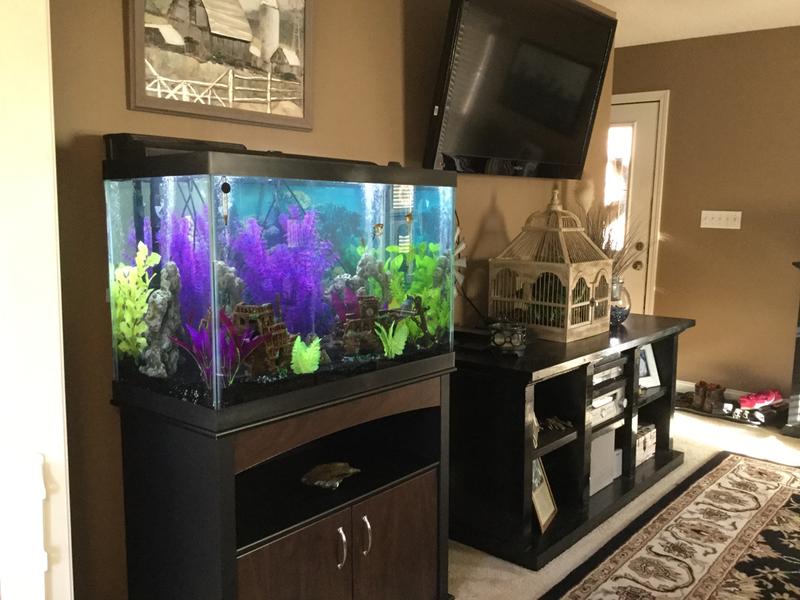 aqueon 65 gallon aquarium