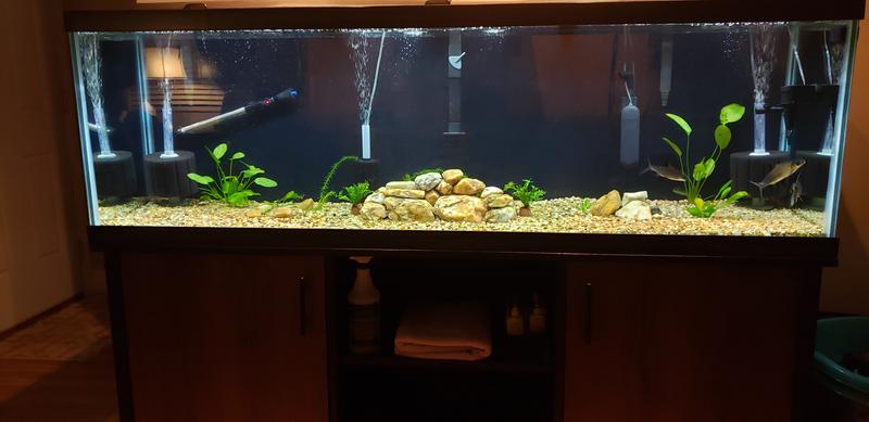 Aqueon 125 Gallon Aquarium Led Ensemble Fish Tanks Aquariums Petsmart