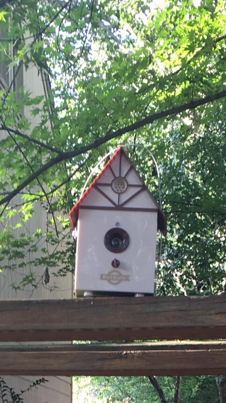 Petsmart bark control birdhouse 2025
