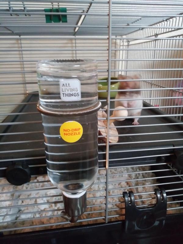 All Living Things Small Pet Glass Water Bottle Small Pet Feeders Water Bottles Petsmart