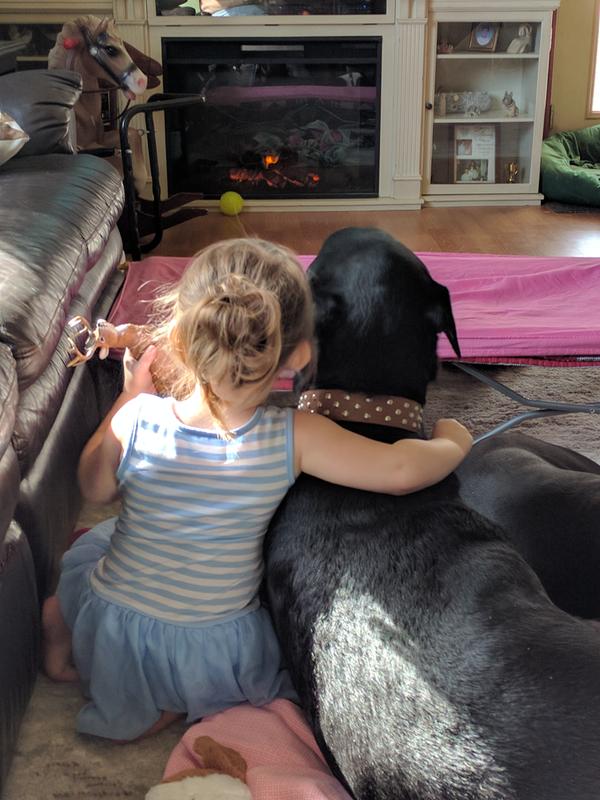 natural balance fat dog petsmart