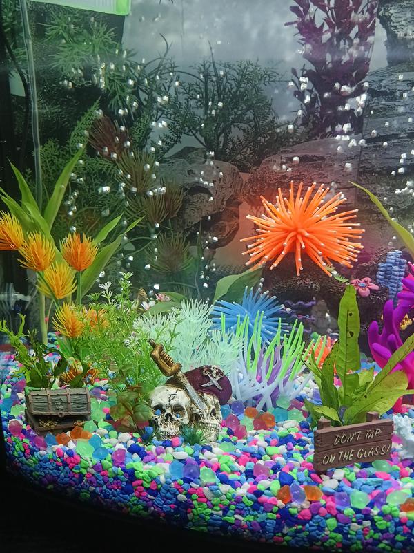 Top Fin Glass Aquarium Decor Glow in the Dark