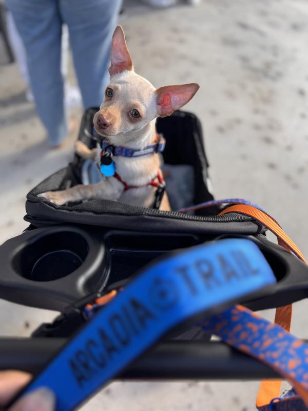 Arcadia Trail® Breathable Knit Dog Leash