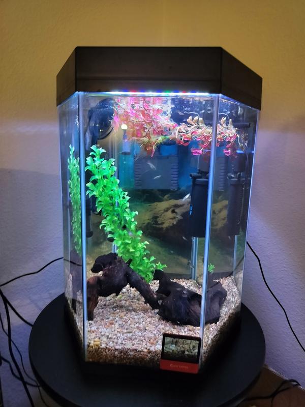 Aquarium Filter With Water Polishing: Ultimate Clarity & Purity Guide