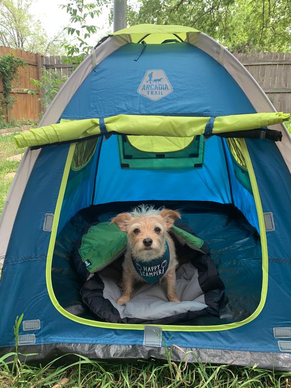 dog outdoor tent