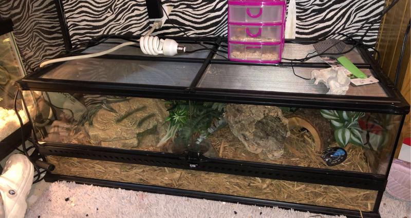 Exo Terra Natural Terrarium Reptile Habitat Reptile Terrariums Petsmart