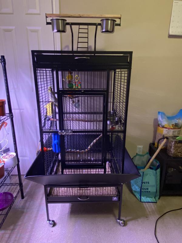 Prevue Pet Products Wrought Iron Select Bird Cage