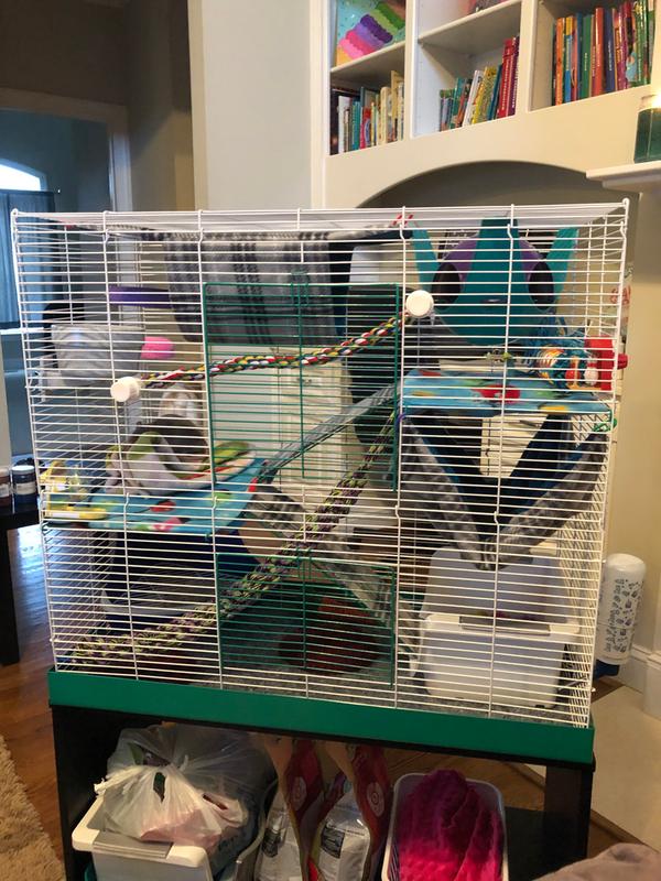 luxury rat cage