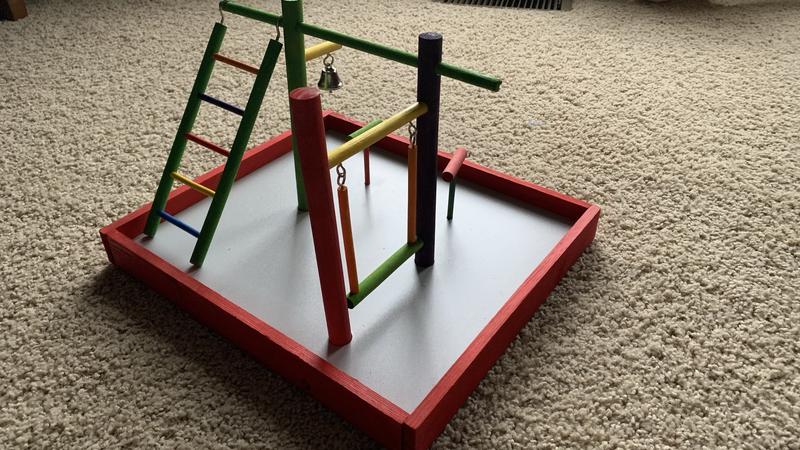 petsmart bird playground