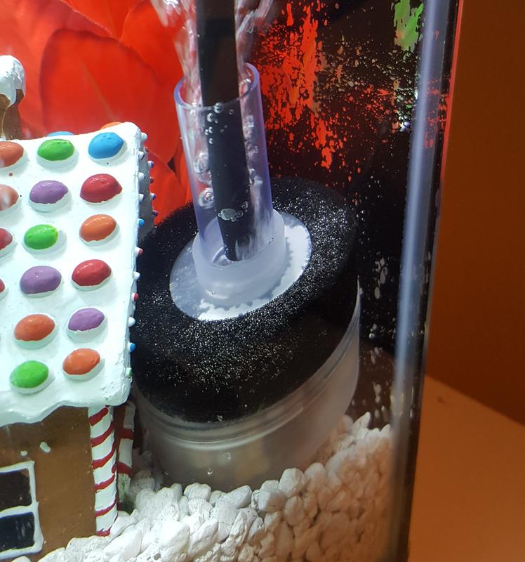 petsmart sponge filter