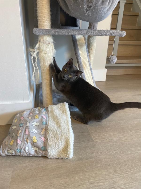 Whisker city crinkle sack sales