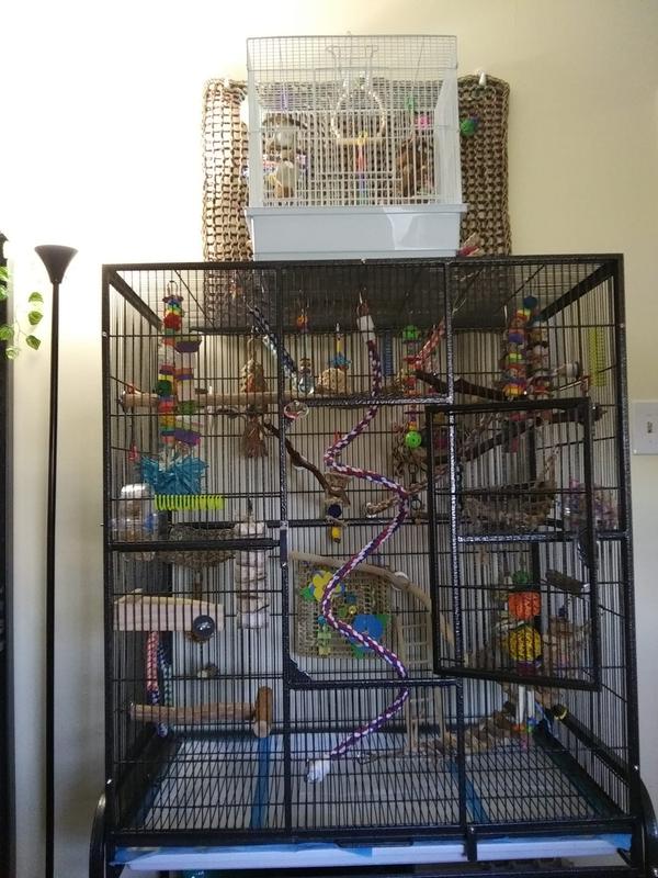 Petsmart cockatiel cage hot sale