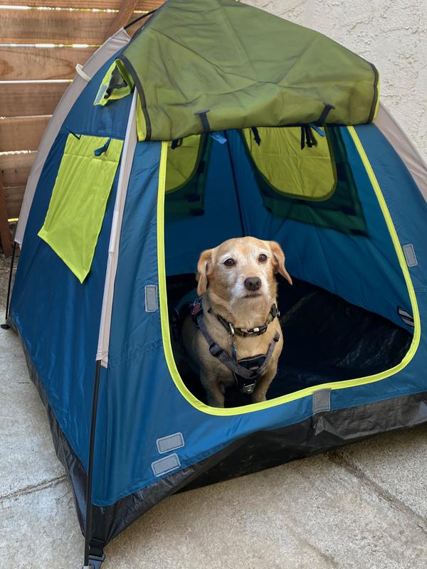dog outdoor tent