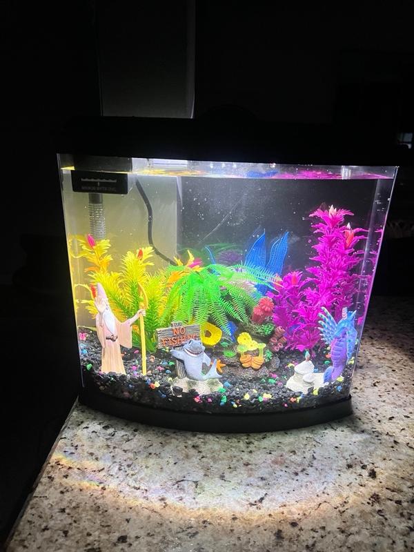 Petsmart ne s fish fashion tank