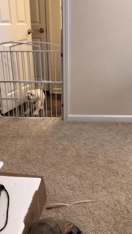 great choice expandable pet gate