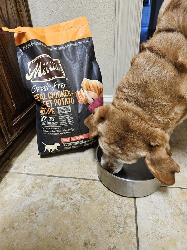 Merrick grain free senior hotsell dog food