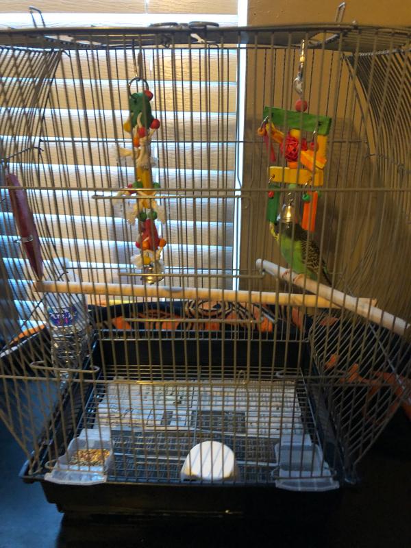 All Living Things Rooftop Terrace Bird Cage Assembly Bird Walls