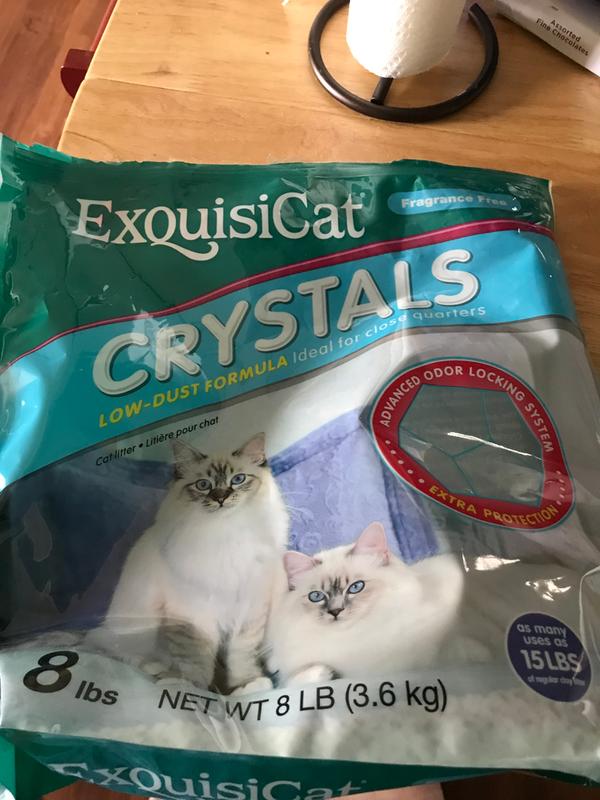 exquisicat crystals review