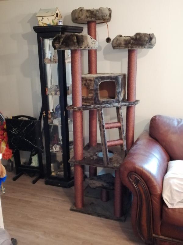 kitty mansions redwood