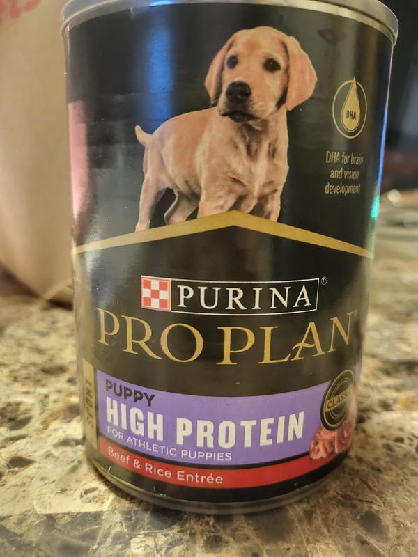Pro plan sport reviews sale