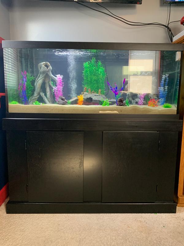 75 gallon fish tank petco