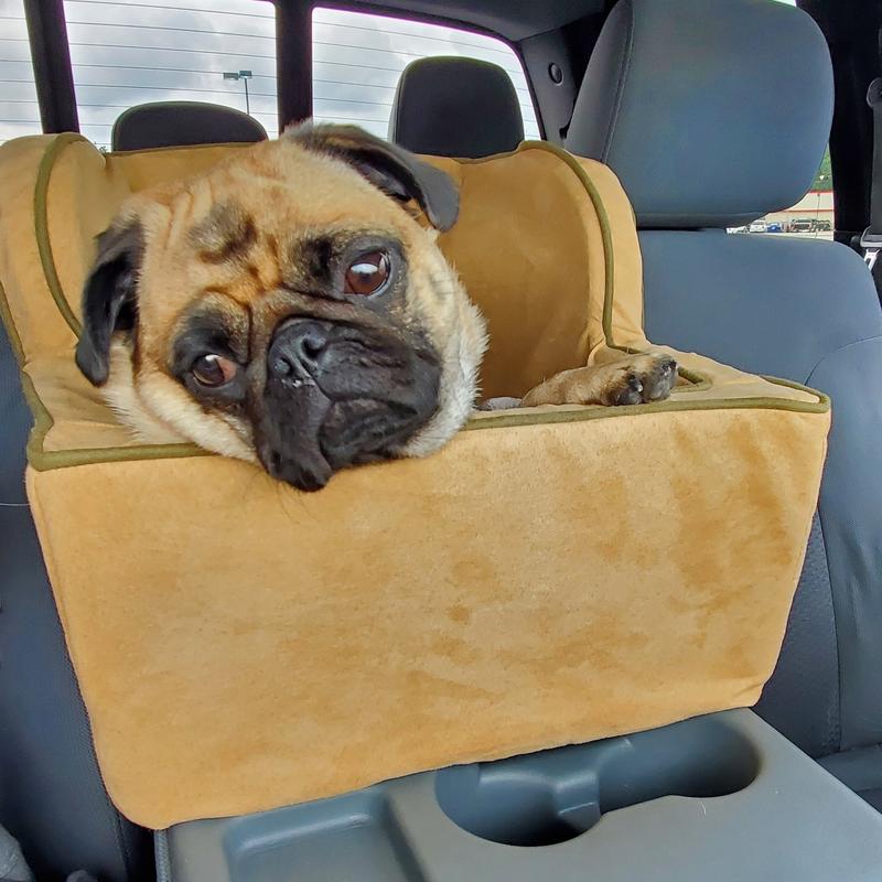 Petsmart dog booster seat best sale