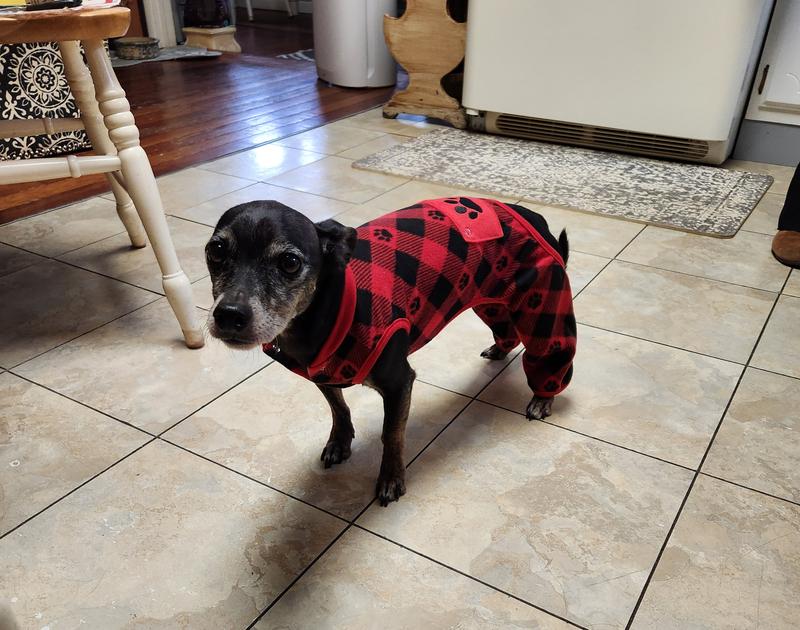 Petsmart dog pajamas best sale