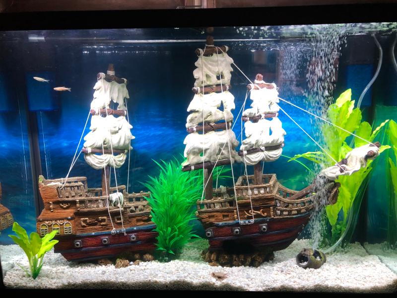 top fin ship aquarium ornament