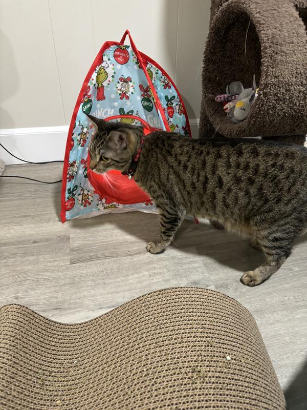 How the Grinch Stole Christmas Cat Play Tent