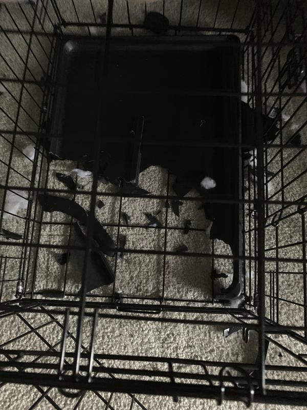 Dog crate shops replacement tray petsmart