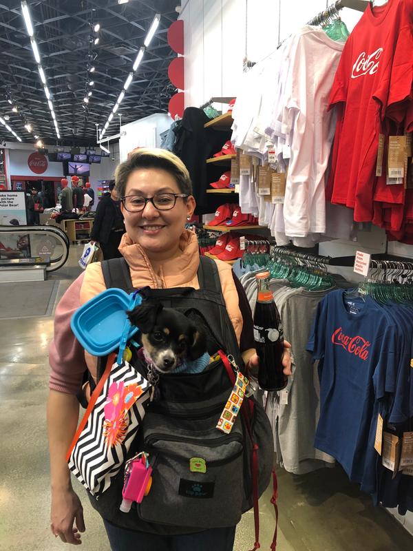 top paw dog backpack