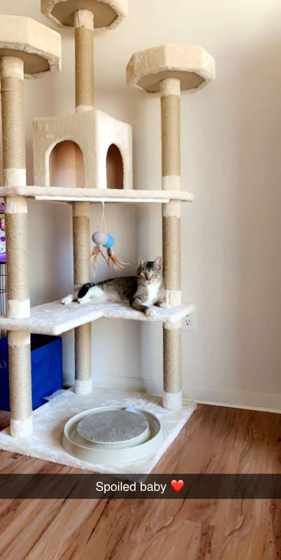 cat castle tower