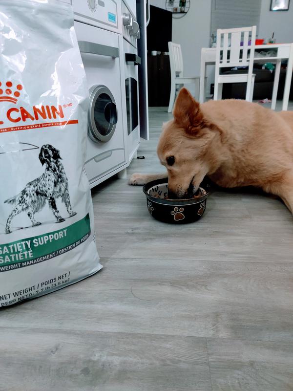 satiety support dog food