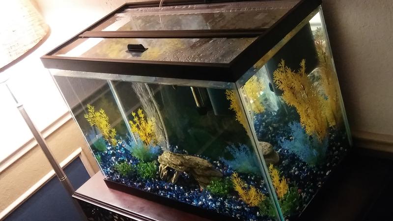 aquarium glass top