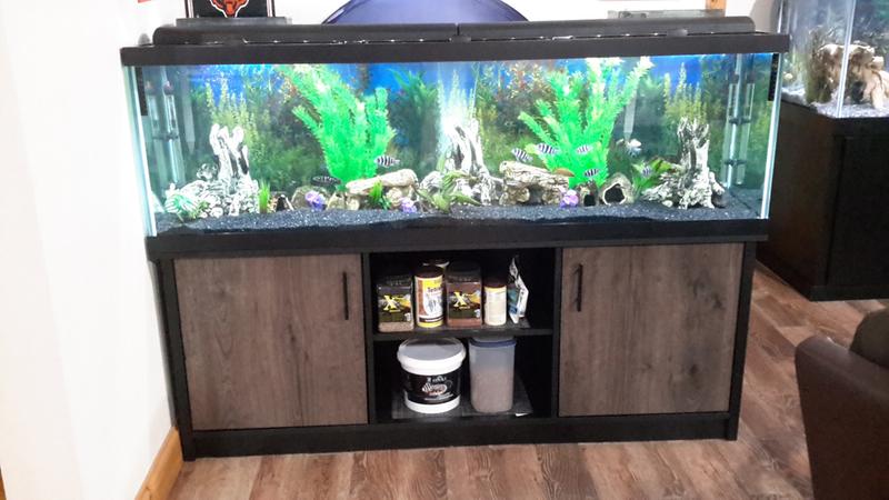 petco 125 gallon fish tank