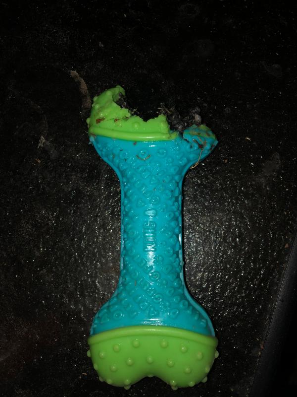 kong core strength bone review