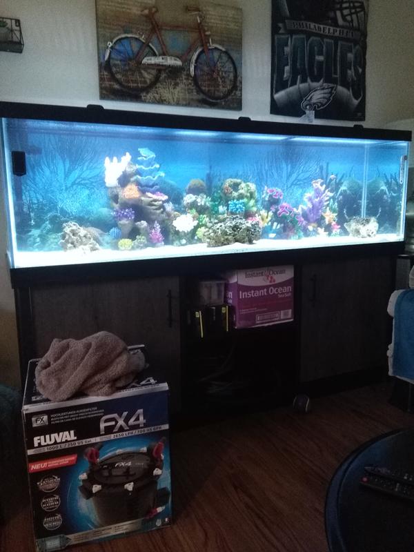 petsmart fish tanks 125 gallon