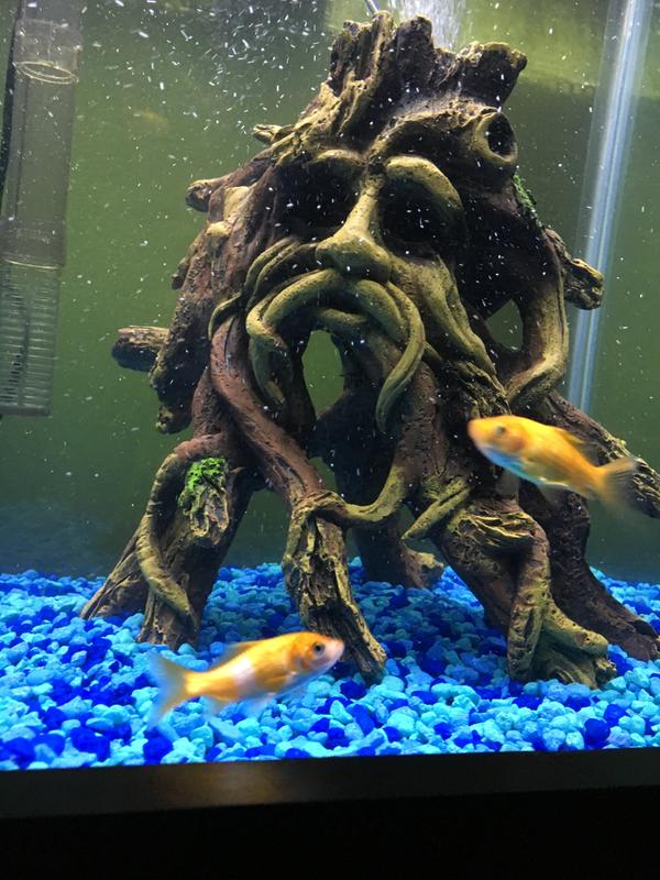 creepy fish tank decorations