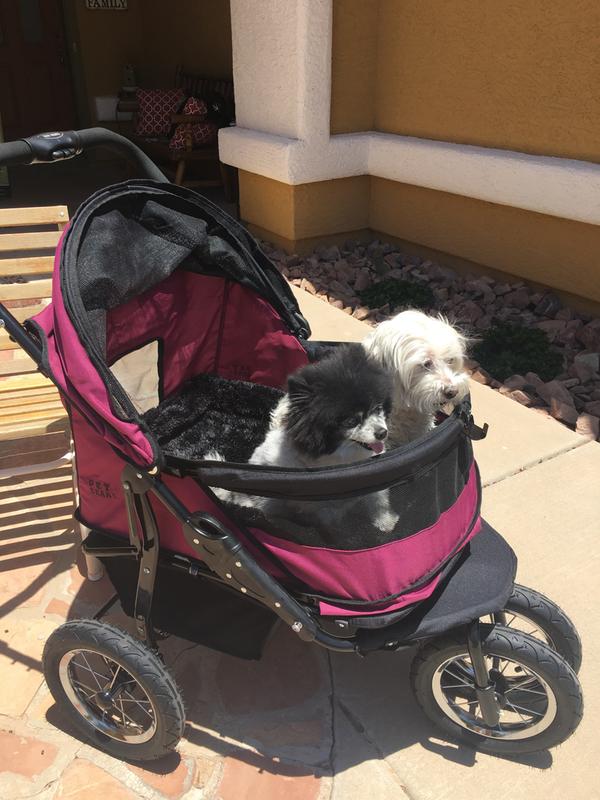 pet gear no zip double dog stroller