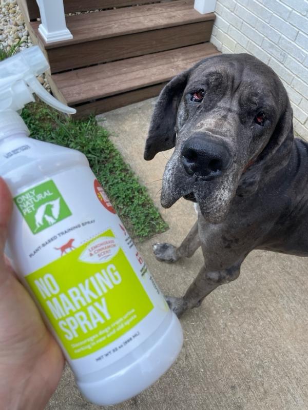 No Marking Spray for Dogs Only Natural Pet