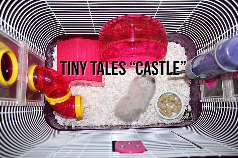 all living things tiny tales comfy house