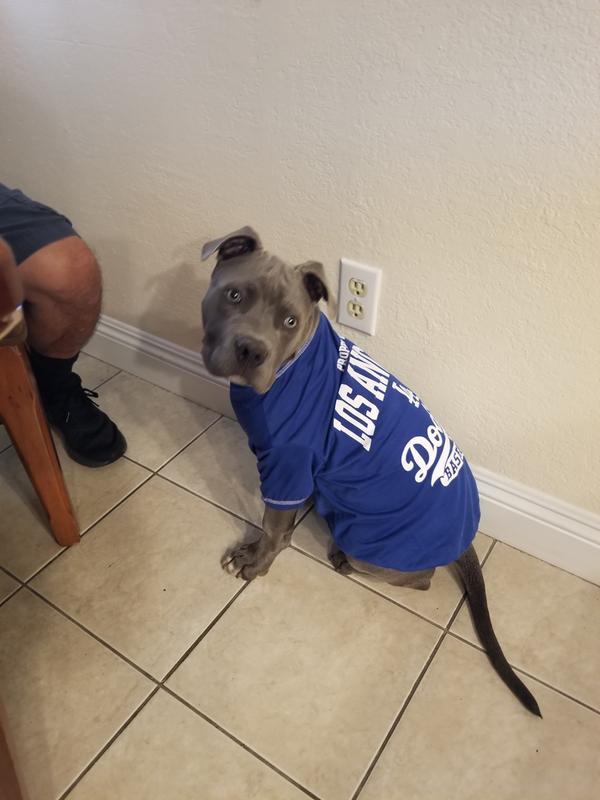 dodgers puppy clothes