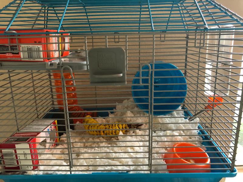 all living things hamster cage