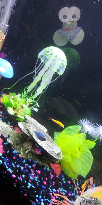 glofish shark petsmart