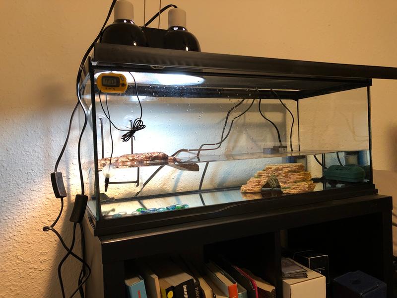 zoo med aquatic turtle kit