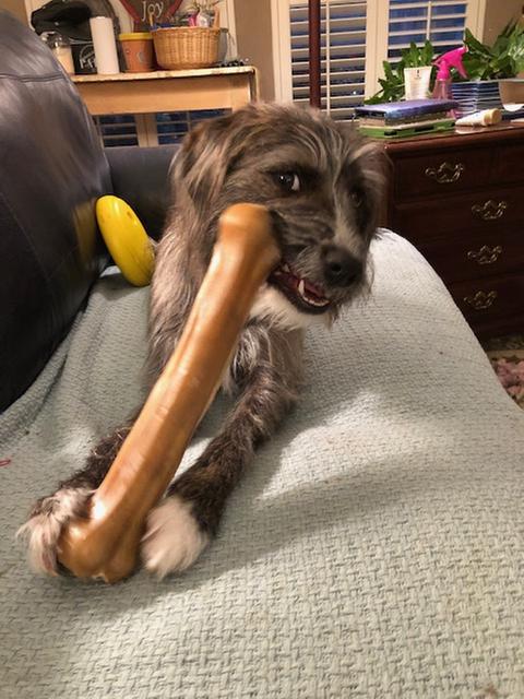 biggest rawhide bone