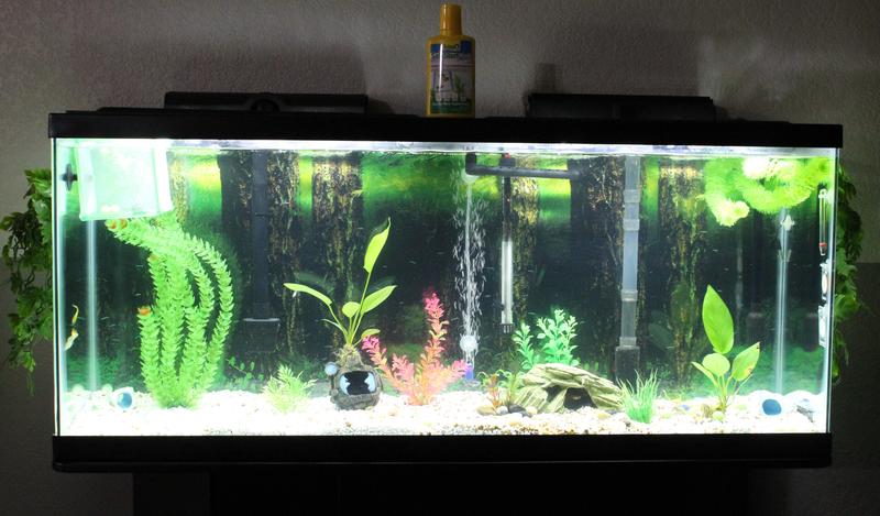 Tetra safestart petsmart new arrivals